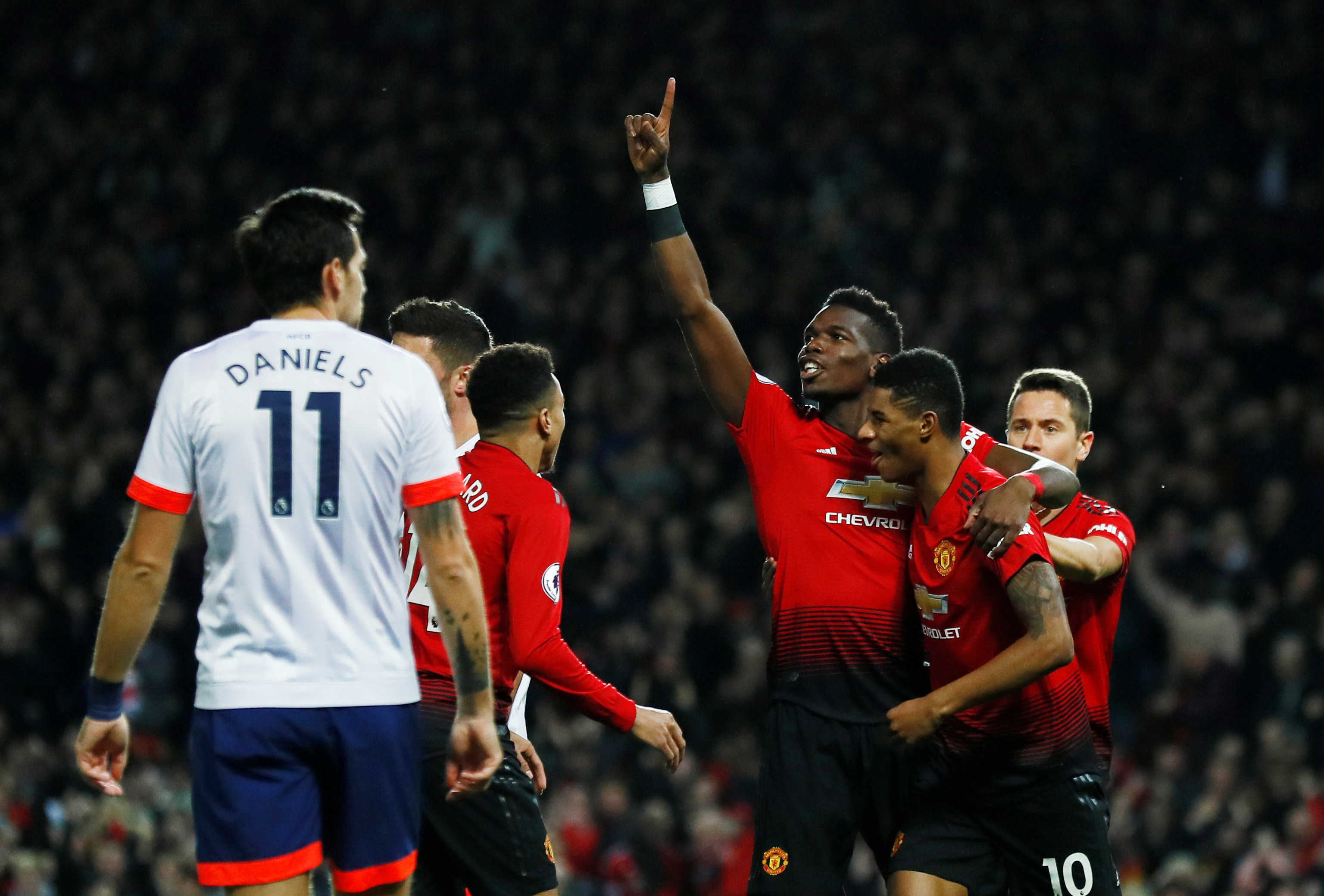 生土拨鼠 生土拨鼠