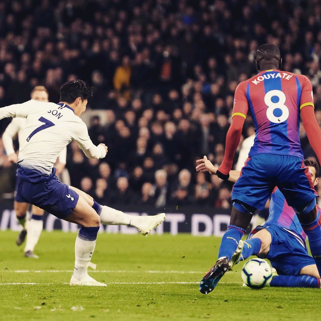 種信念的傳 種信念的傳